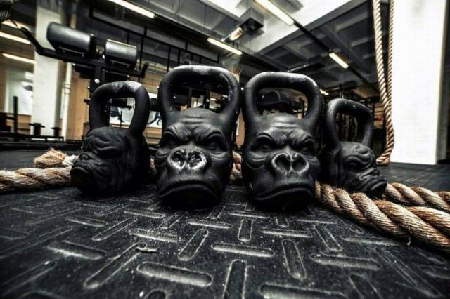 daily picdump 94 pics 15.html - 94 HD Photos | Premium Gallery 2016