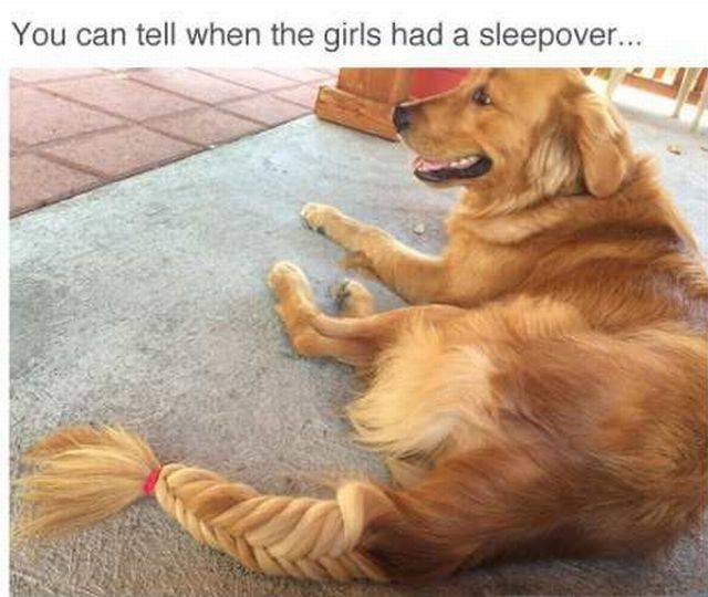 daily picdump 94 pics 15.html - 94 HD Photos | Premium Gallery 2016