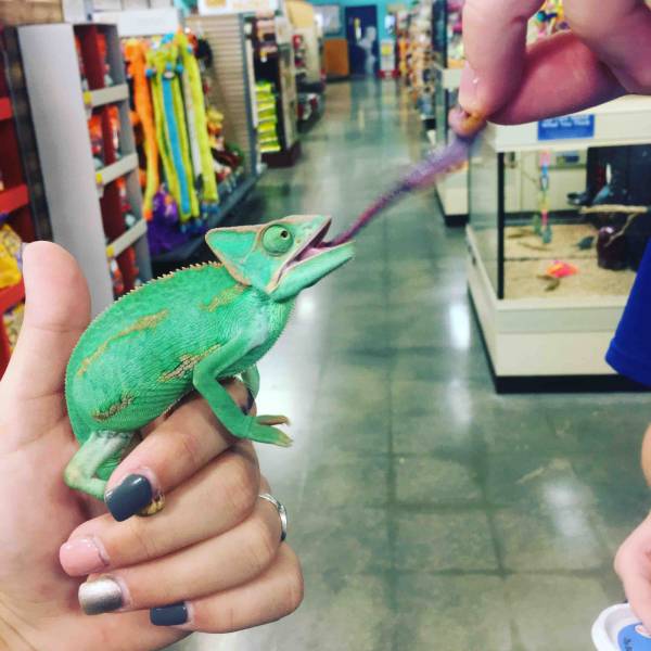 daily picdump 94 pics 15.html - 94 HD Photos | Premium Gallery 2016