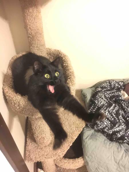 morning picdump 54 pics 2.html - 54 HD Photos | Premium Gallery 2016