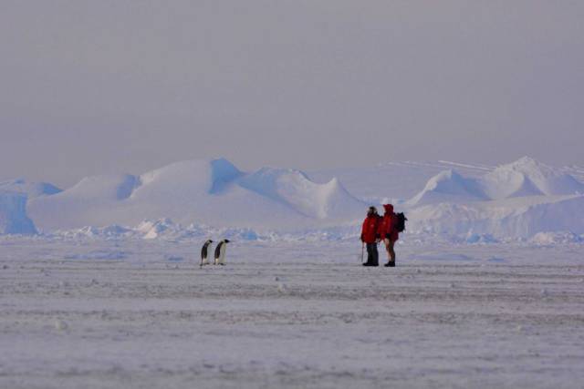 morning picdump 54 pics 2.html - 54 HD Photos | Premium Gallery 2016