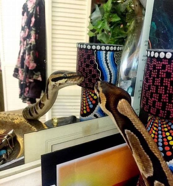 daily picdump 98 pics 13.html - 98 HD Photos | Premium Gallery 2016