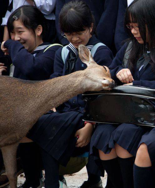 daily picdump 98 pics 13.html - 98 HD Photos | Premium Gallery 2016