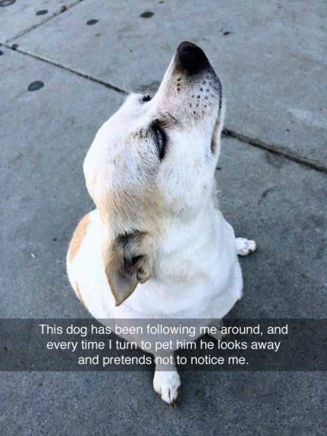 daily picdump 98 pics 13.html - 98 HD Photos | Premium Gallery 2016