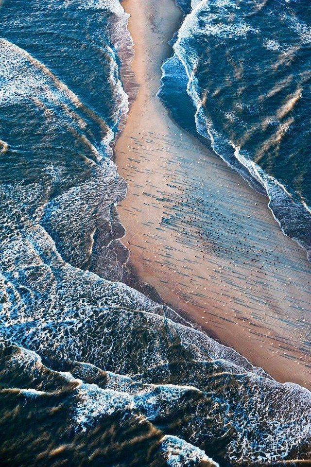 daily picdump 98 pics 13.html - 98 HD Photos | Premium Gallery 2016