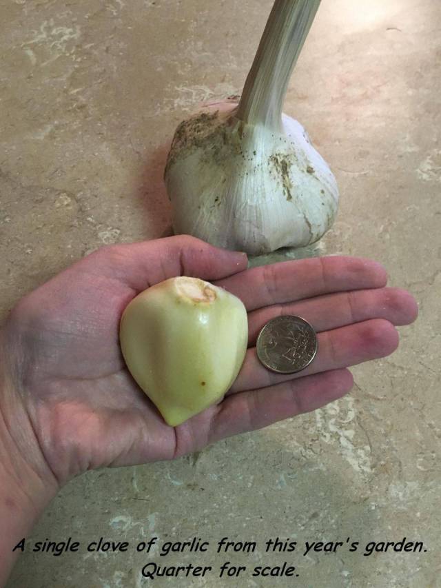 daily picdump 98 pics 13.html - 98 HD Photos | Premium Gallery 2016