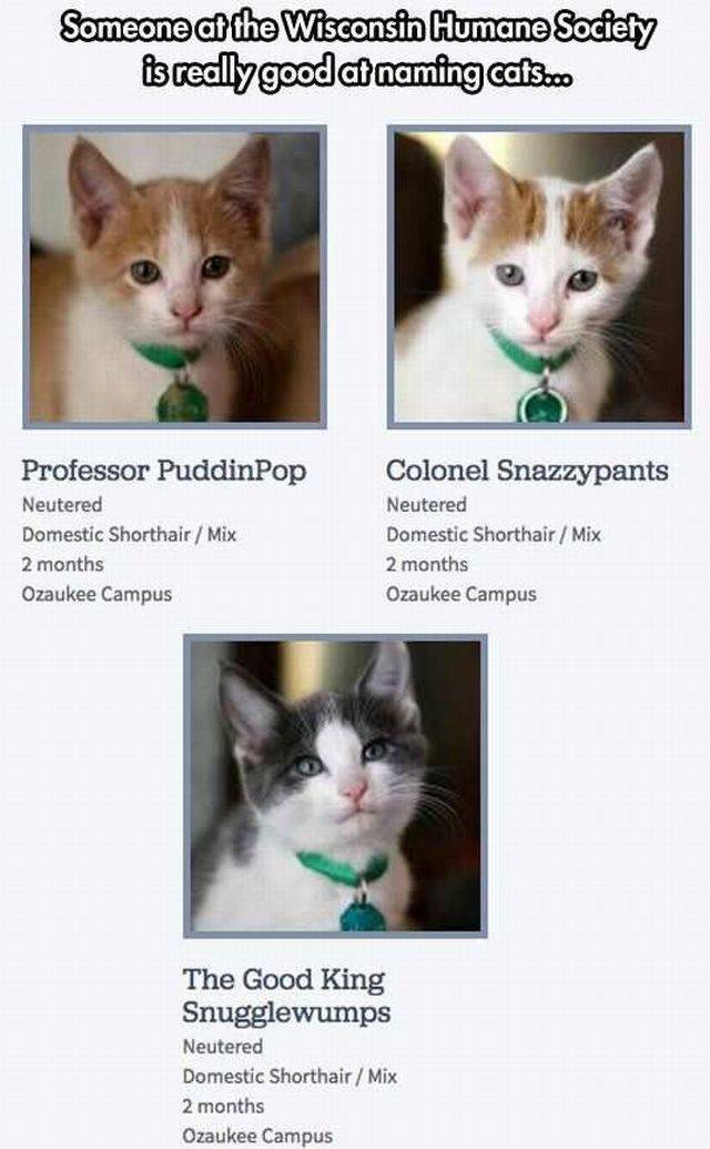 daily picdump 98 pics 13.html - 98 HD Photos | Premium Gallery 2016