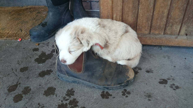 morning picdump 52 pics 8.html - 52 HD Photos | Premium Gallery 2016