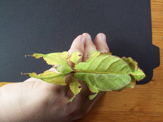 morning picdump 52 pics 8.html - 52 HD Photos | Premium Gallery 2016