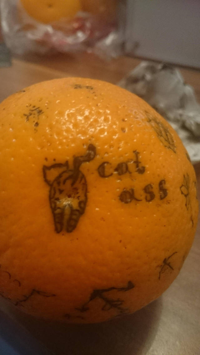 morning picdump 52 pics 8.html - 52 HD Photos | Premium Gallery 2016