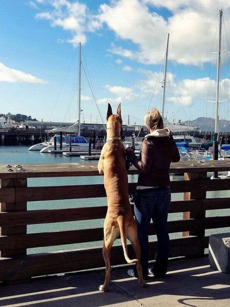 daily picdump 102 pics 25.html - 102 HD Photos | Premium Gallery 2016