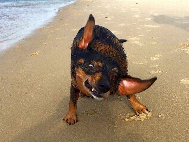 daily picdump 102 pics 25.html - 102 HD Photos | Premium Gallery 2016