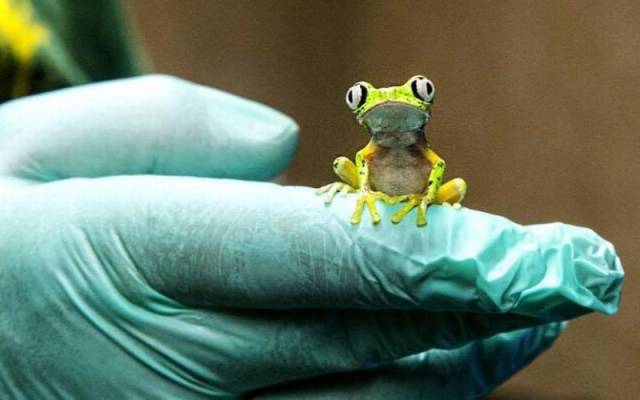 daily picdump 102 pics 25.html - 102 HD Photos | Premium Gallery 2016