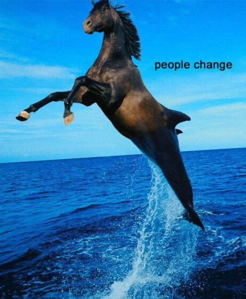 daily picdump 102 pics 25.html - 102 HD Photos | Premium Gallery 2016