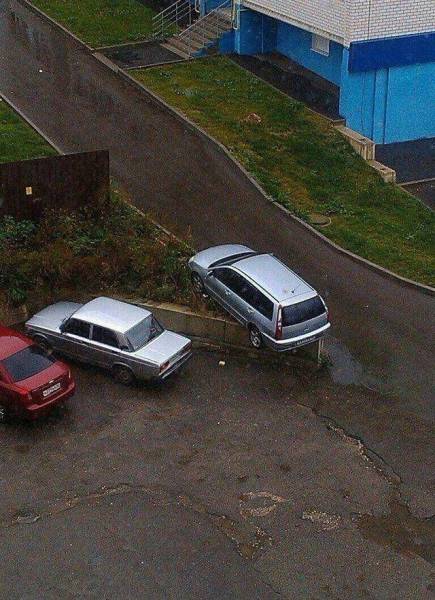 daily picdump 102 pics 25.html - 102 HD Photos | Premium Gallery 2016