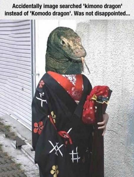 daily picdump 102 pics 25.html - 102 HD Photos | Premium Gallery 2016