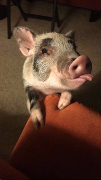 morning picdump 50 pics 8.html - 50 HD Photos | Premium Gallery 2016