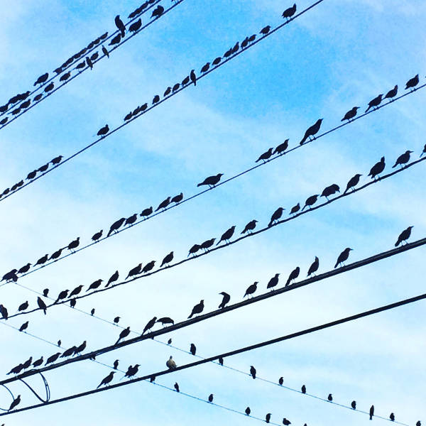 morning picdump 50 pics 8.html - 50 HD Photos | Premium Gallery 2016