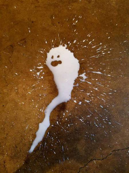 morning picdump 50 pics 8.html - 50 HD Photos | Premium Gallery 2016