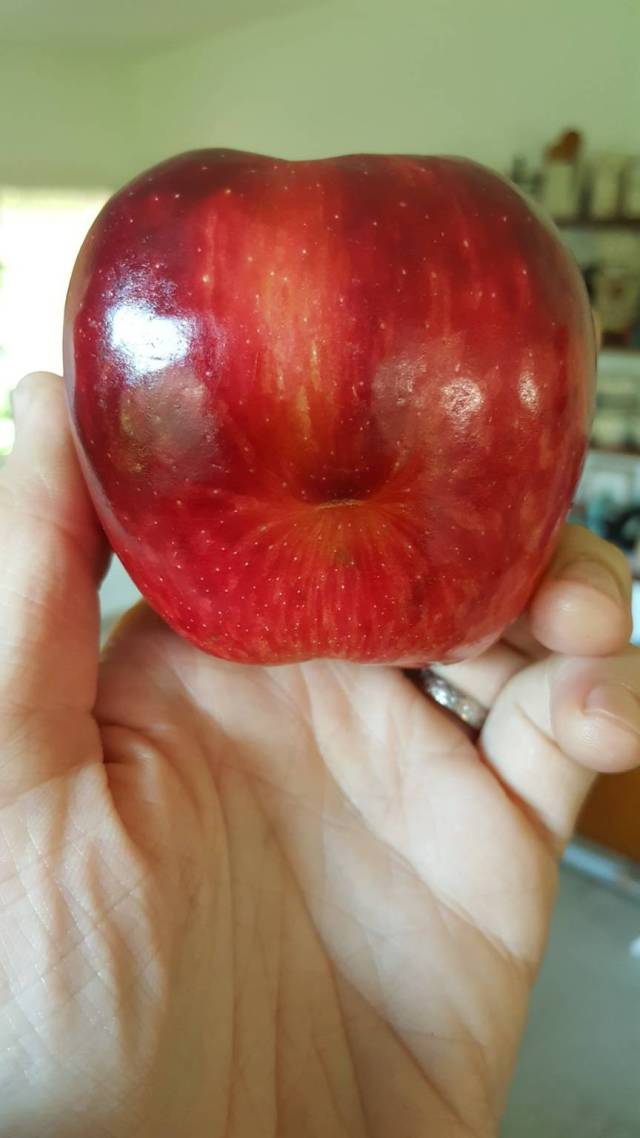 morning picdump 50 pics 8.html - 50 HD Photos | Premium Gallery 2016