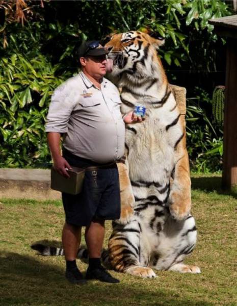 morning picdump 50 pics 8.html - 50 HD Photos | Premium Gallery 2016