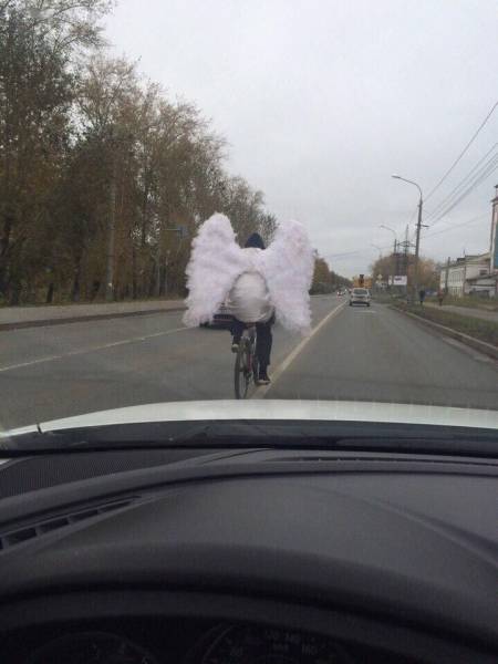 daily picdump 92 pics 24.html - 92 HD Photos | Premium Gallery 2016