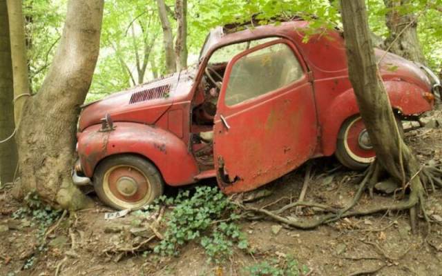 daily picdump 92 pics 24.html - 92 HD Photos | Premium Gallery 2016