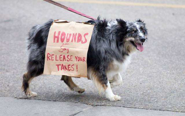 daily picdump 92 pics 24.html - 92 HD Photos | Premium Gallery 2016