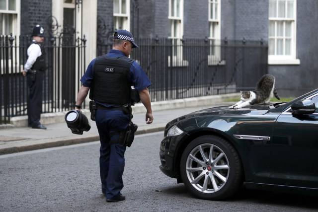 daily picdump 92 pics 24.html - 92 HD Photos | Premium Gallery 2016