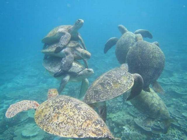 daily picdump 92 pics 24.html - 92 HD Photos | Premium Gallery 2016