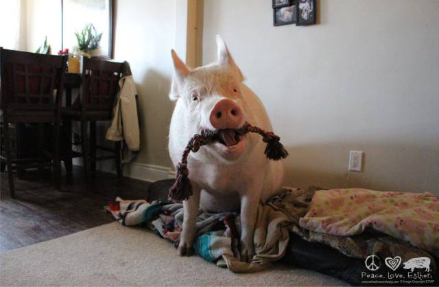 daily picdump 92 pics 24.html - 92 HD Photos | Premium Gallery 2016