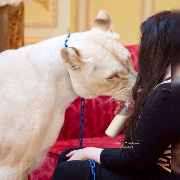 daily picdump 92 pics 24.html - 92 HD Photos | Premium Gallery 2016