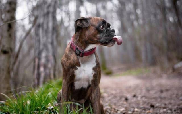 daily picdump 92 pics 24.html - 92 HD Photos | Premium Gallery 2016