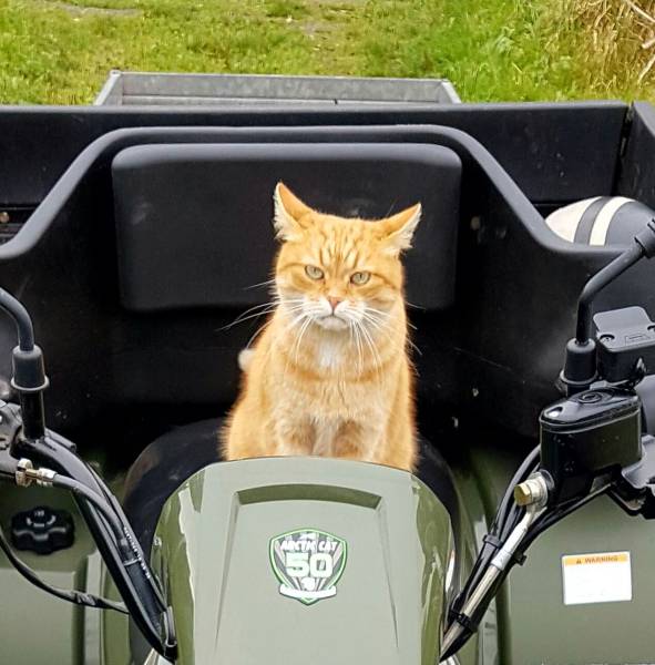 daily picdump 92 pics 24.html - 92 HD Photos | Premium Gallery 2016