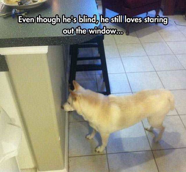 daily picdump 92 pics 24.html - 92 HD Photos | Premium Gallery 2016