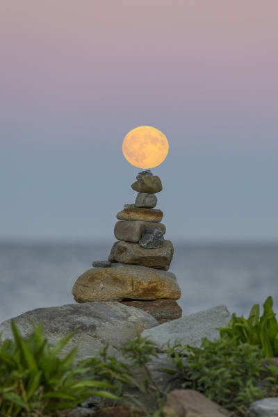 morning picdump 55 pics 2.html - 55 HD Photos | Premium Gallery 2016