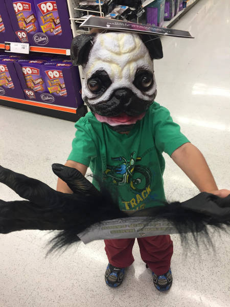 morning picdump 55 pics 2.html - 55 HD Photos | Premium Gallery 2016