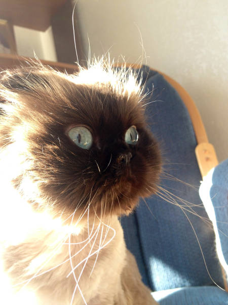 morning picdump 55 pics 2.html - 55 HD Photos | Premium Gallery 2016