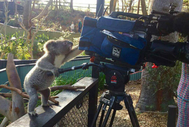 morning picdump 55 pics 2.html - 55 HD Photos | Premium Gallery 2016