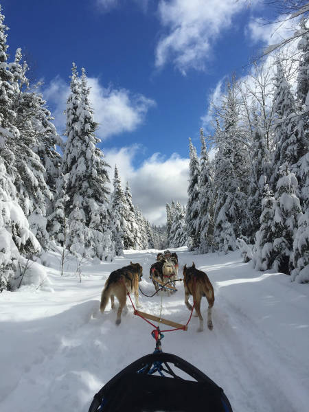 morning picdump 55 pics 2.html - 55 HD Photos | Premium Gallery 2016