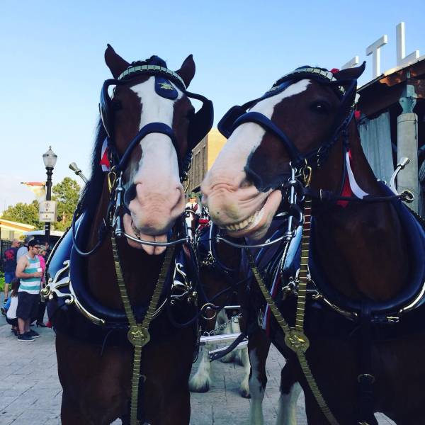 daily picdump weekend edition 74 pics 33.html - 74 HD Photos | Premium Gallery 2016