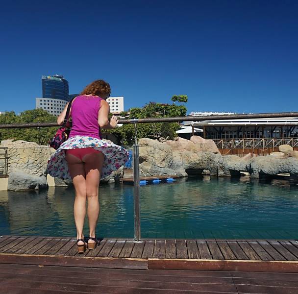 daily picdump weekend edition 74 pics 33.html - 74 HD Photos | Premium Gallery 2016