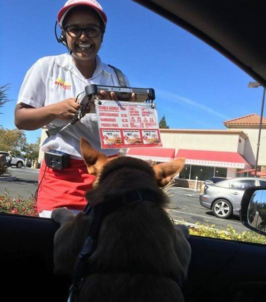 daily picdump weekend edition 74 pics 33.html - 74 HD Photos | Premium Gallery 2016