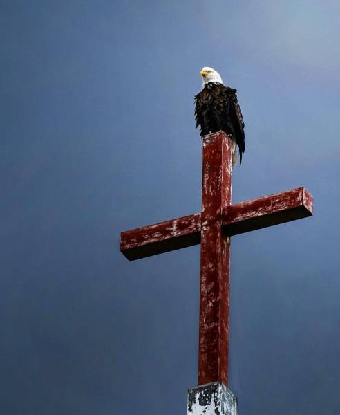 daily picdump weekend edition 74 pics 33.html - 74 HD Photos | Premium Gallery 2016