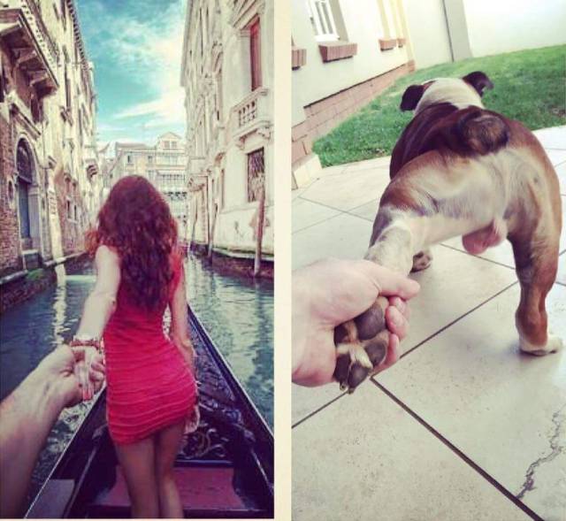 funny picdump 52 pics 22.html - 52 HD Photos | Premium Gallery 2016