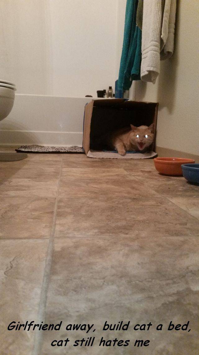 funny picdump 52 pics 22.html - 52 HD Photos | Premium Gallery 2016