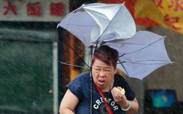 daily picdump 83 pics 42.html - 83 HD Photos | Premium Gallery 2016