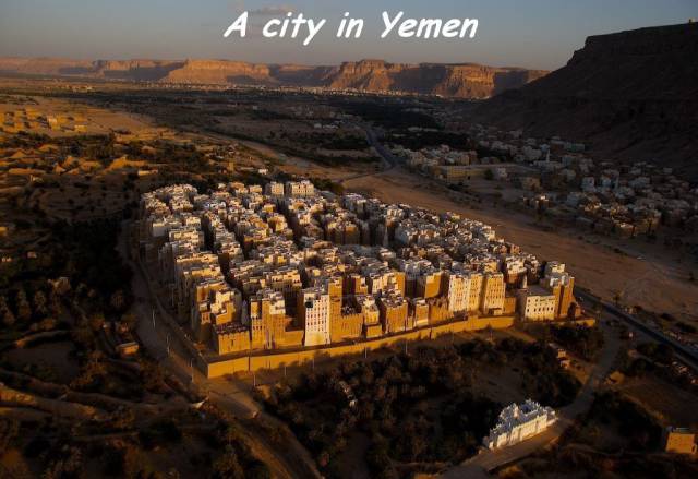 daily picdump 83 pics 42.html - 83 HD Photos | Premium Gallery 2016