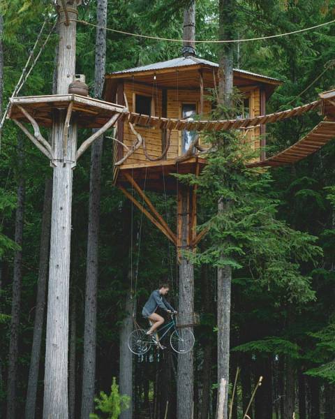 daily picdump 83 pics 42.html - 83 HD Photos | Premium Gallery 2016