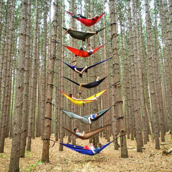 daily picdump 83 pics 42.html - 83 HD Photos | Premium Gallery 2016